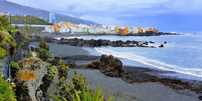Detail Rose Leilighet Puerto de la Cruz (Tenerife)